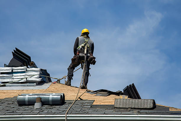 Professional Gutter Installation technician working in Denison, TX
